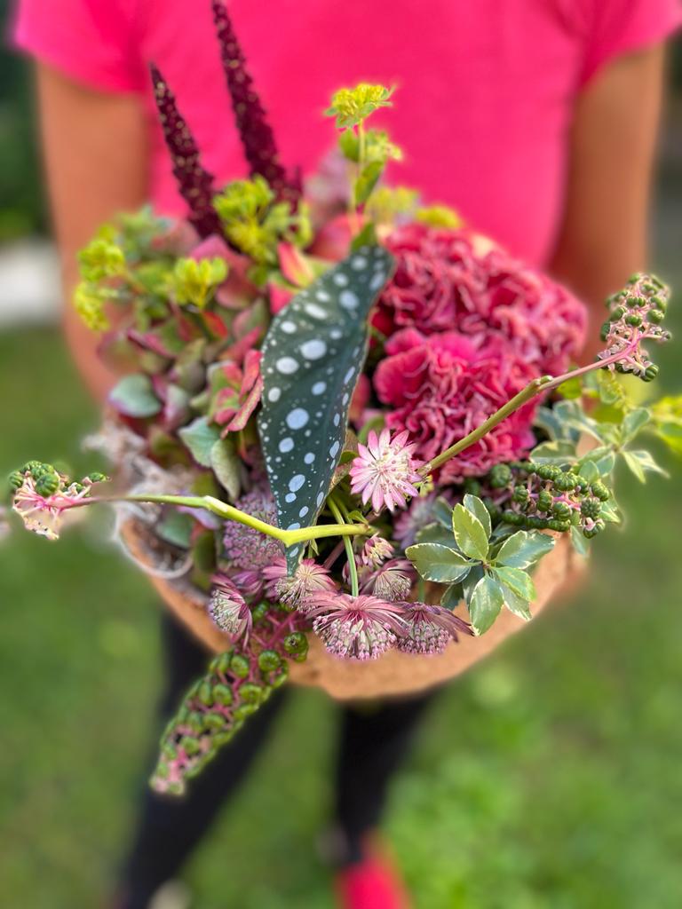 Fiori Rimini Celosia Begonia Consegna Fiori a Domicilio